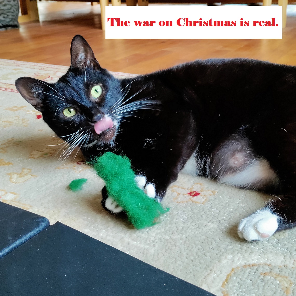 Photo of a Cat attacking a Christmas tree toy. The war on Christmas is real.